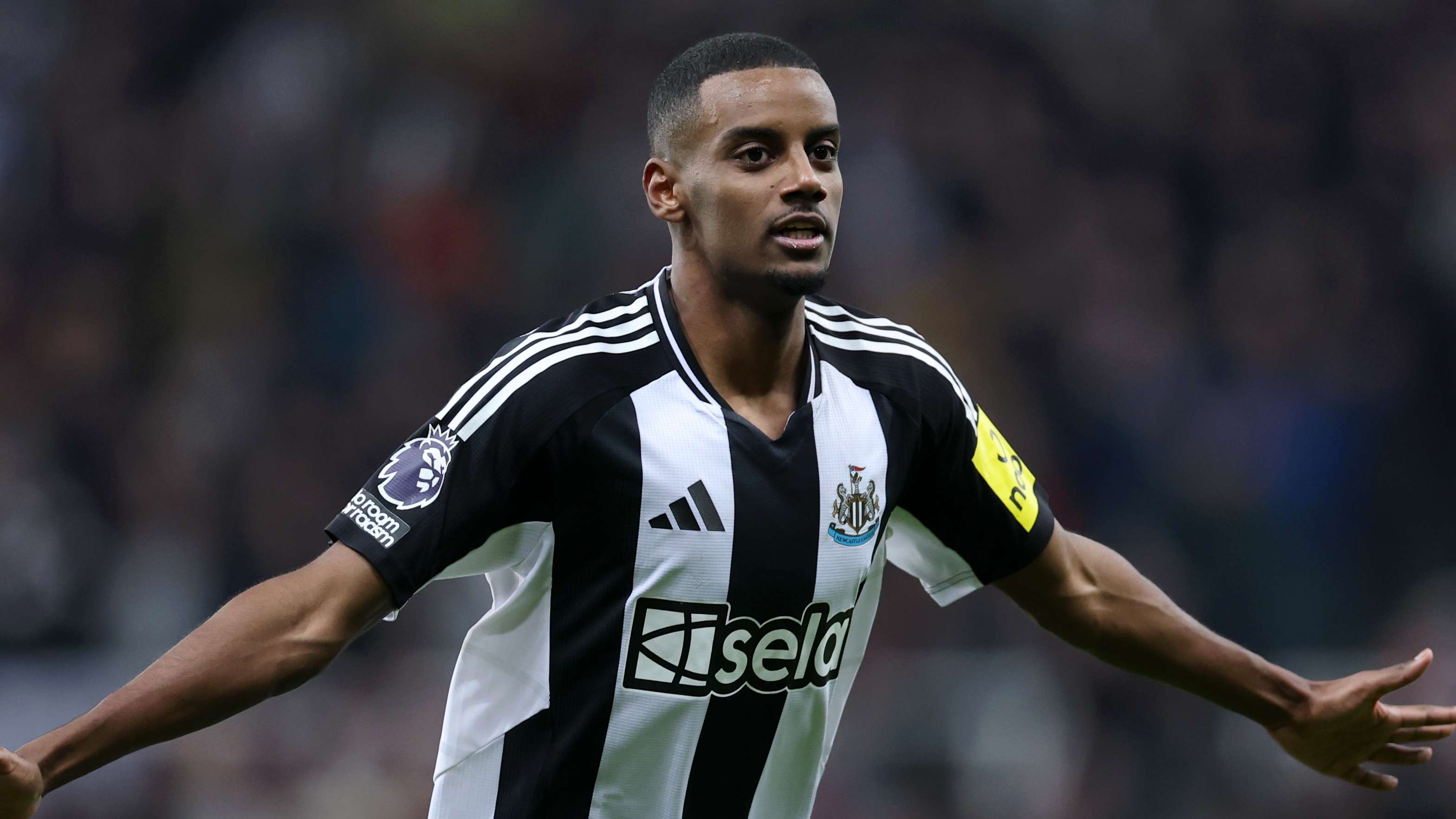 陈婉婷理解 陈婉婷理解