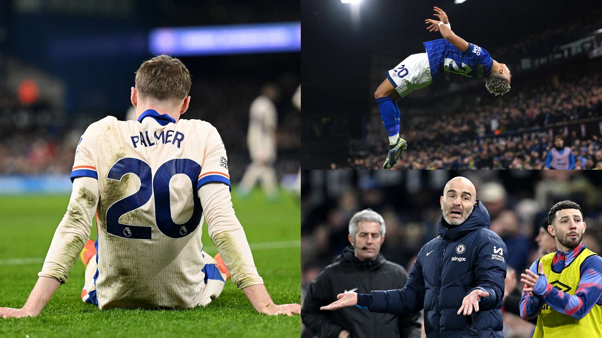 球迷与球队 球迷与球队